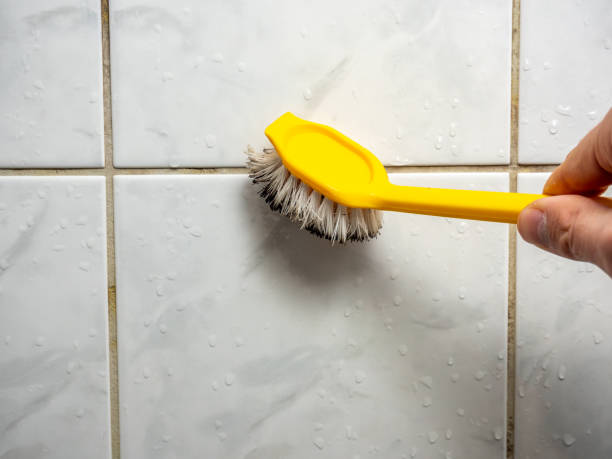 Best Office Mold Removal Services  in Elsmere, DE