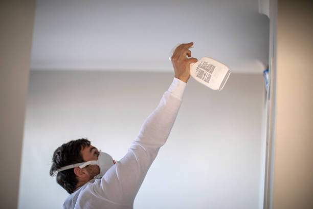 Best Water Damage Restoration  in Elsmere, DE