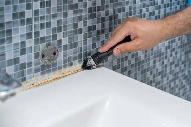 Best Toxic Mold Removal  in Elsmere, DE